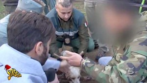 Il servizio di Striscia la notizia sui cani legati con i bastoni a Caprarola