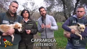 Il servizio di Striscia la notizia sui cani legati con i bastoni a Caprarola