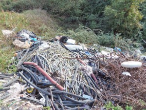 Orte - Discarica in zona boscata 