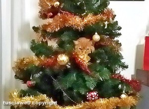 Fulvia nell'albero di Natale - Lo scatto di Marco Fiorucci