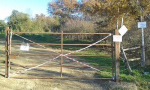 Tarquinia - Il cancello del bosco dell'Università agraria con i sigilli della forestale