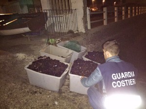 Santa Marinella - I ricci sequestrati