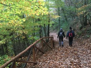 In cammino per le vie dell'esilio di santa Rosa