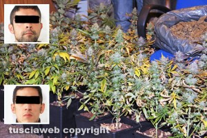 Viterbo - Operazione antidroga - I due arrestati