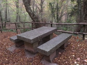 In cammino per le vie dell'esilio di santa Rosa