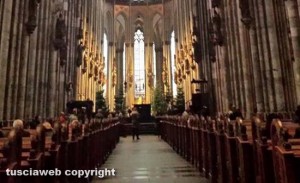vienna