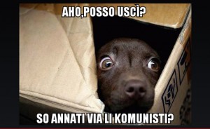 Esercito di Fioroni