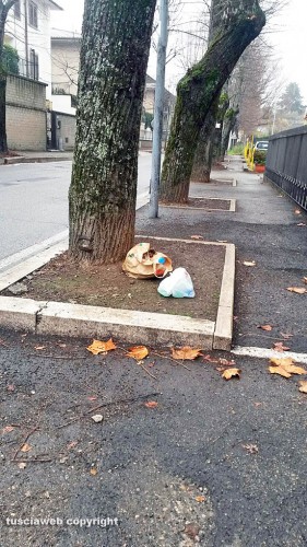 Viterbo - Via Santa Maria della Grotticella - Rifiuti abbandonati con sopra degli escrementi