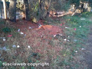 Viterbo - Salamaro - Ennesima discarica a cielo aperto