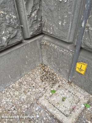 Viterbo - Escrementi di piccione su Banca d'Italia