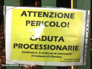 Viterbo - Scuola P. Vanni - Il cartello di pericolo processionarie