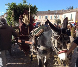 Sant'Antonio abate, la benedizione degli animali a San Lorenzo Nuovo