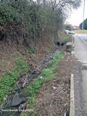Viterbo - Santa Barbara - Scolo ai bordi di strada Teverina