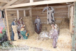 Viterbo - Piazza del Comune - Rubata pecorella del presepe