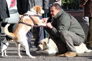 Viterbo - La benedizione degli animali a piazza del Comune