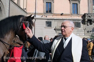 Viterbo - La benedizione degli animali fatta da don Ivo a piazza del Comune