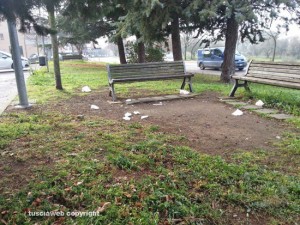 Viterbo - Santa Barbara - Cartacce e bottiglie in via Lega dei XII Popoli