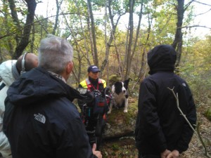 Viterbo - L’Unità cinofila da soccorso a “Bel tempo si spera”