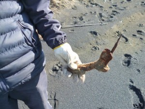 Tarquinia - Un pezzo di ferro ritrovato sulla spiaggia