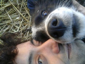 Mario Innocenzi e il suo cane