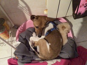 Minù