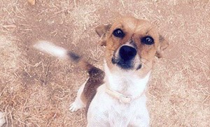 Minù