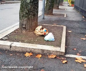 Viterbo - Via Santa Maria della Grotticella - Rifiuti abbandonati con sopra degli escrementi