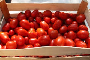 Una cassetta di pomodori