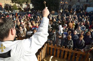 Sant'Antonio, la cavalcata dei fantini e dei butteri a Montalto di Castro