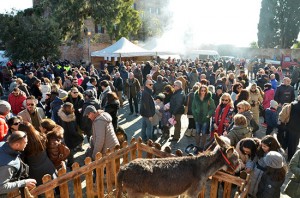 Sant'Antonio, la benedizione degli animali a Montalto di Castro
