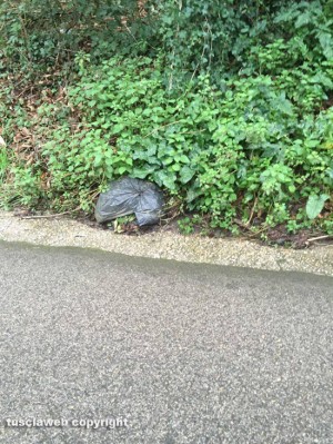 Ronciglione - Discarica a cielo aperto in via delle Cartiere