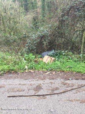 Ronciglione - Discarica a cielo aperto in via delle Cartiere