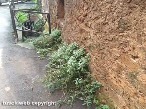 Ronciglione - Discarica a cielo aperto in via delle Cartiere