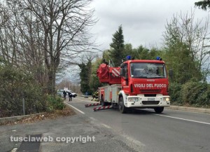 Un albero caduto - Intervento dei vigili del fuoco