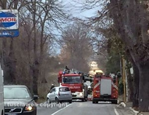 Bagnaia - L'albero caduto a viale Fiume - L'intervento de vigili del fuoco