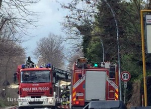 Bagnaia - L'albero caduto a viale Fiume - L'intervento de vigili del fuoco