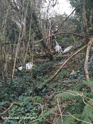 Ronciglione - Discarica a cielo aperto in via delle Cartiere