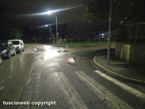 Viterbo - Ellera - Rifiuti di plastica in strada