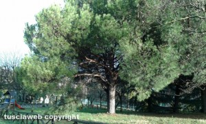 Viterbo - Il parco dell'aeronautica