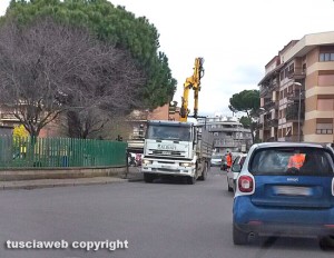 Viterbo - Ellera - Eliminazione processionarie alla scuola dell'infanzia