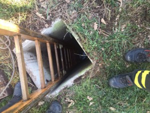 Bagnoregio - Cane caduto in un tombino salvato dai Vigili del fuoco