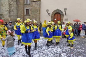 Barbarano Romano - Il carnevale 2016