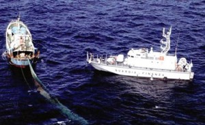Intervento della finanza contro la pesca di frodo