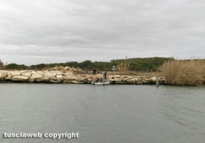 Montalto Marina - Il salvataggio del delfino