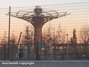 Milano - L'albero della vita a Expo