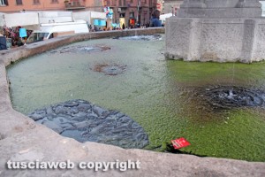 Viterbo - Degrado nella fontana di piazza della Rocca