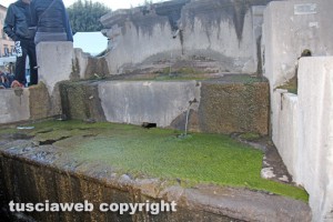 Viterbo - Degrado nella fontana di piazza della Rocca