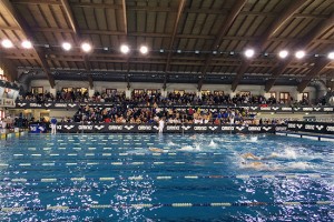 Sport - Nuoto - Il decimo Meeting di Carnevale città di Viterbo