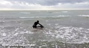 Montalto Marina - Il salvataggio del delfino
