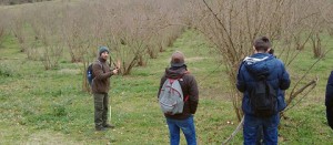 Alternanza scuola-lavoro nei noccioleti viterbesi
